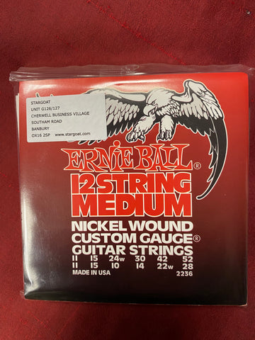 Ernie Ball 2236 custom gauge 12 string nickel wound set