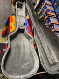 Acoustic guitar case by TGI for 12 or 6 string guitar