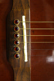 Epiphone EAJB Jeff Skunk Baxter signature electro acoustic guitar S/H