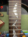 PRS SE Paul Allender guitar in purple - Made in Korea S/H