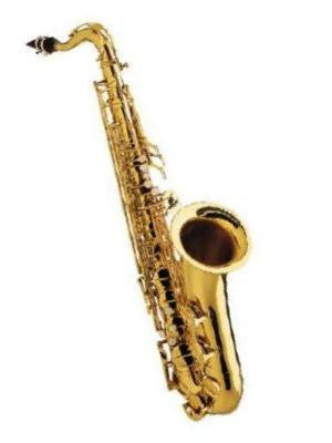 Amati Tenor Saxophone Outfit - European made