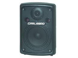 Carlsbro Gamma 8/150 passive 150w rms speaker | STARGOAT GUITARS Carlsbro Gamma 8/150 passive 150w rms speaker | STARGOAT GUITARS